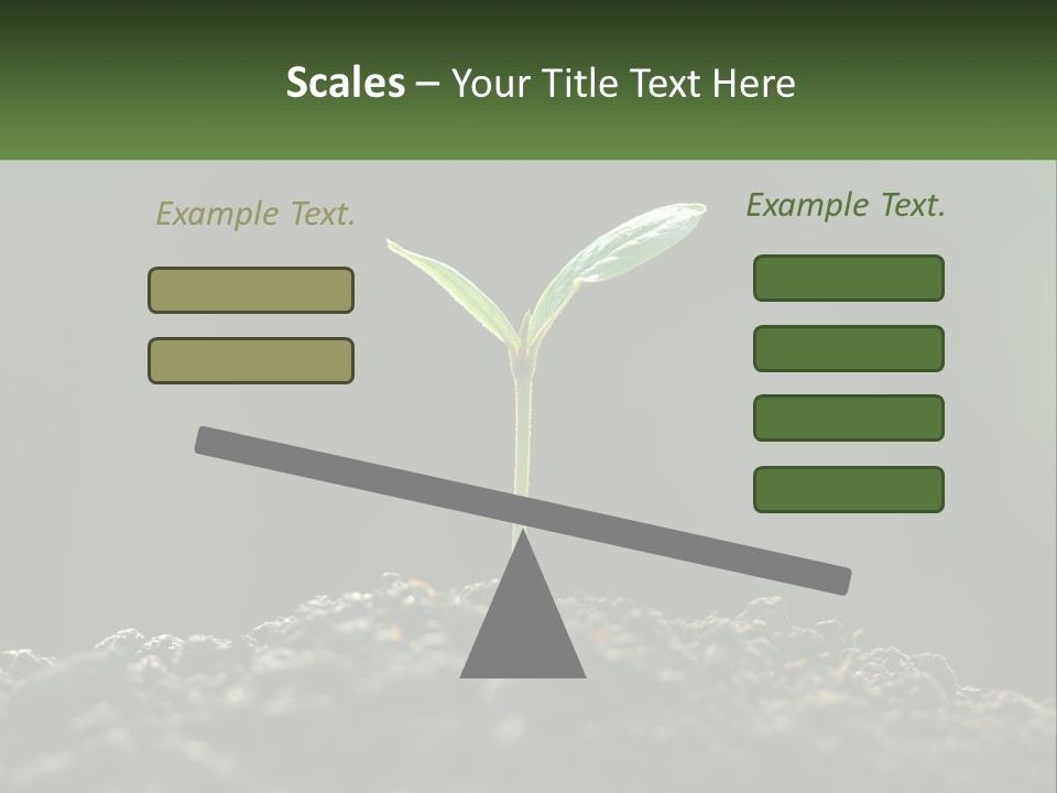 A Small Green Plant Sprouting From The Ground PowerPoint Template