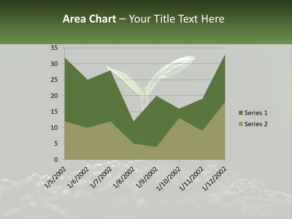 A Small Green Plant Sprouting From The Ground PowerPoint Template