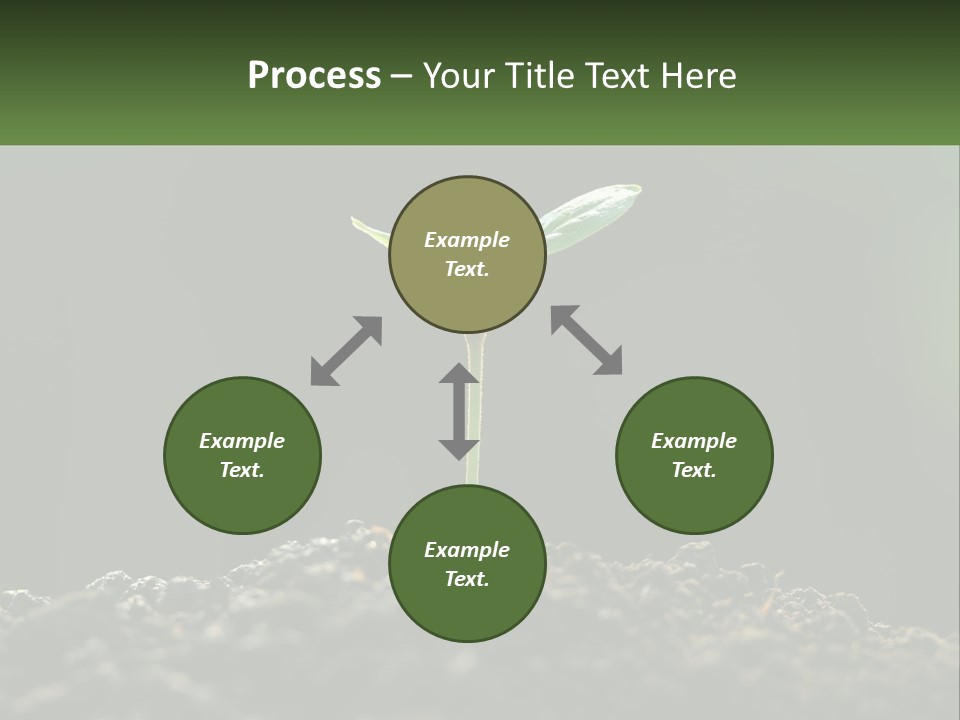 A Small Green Plant Sprouting From The Ground PowerPoint Template