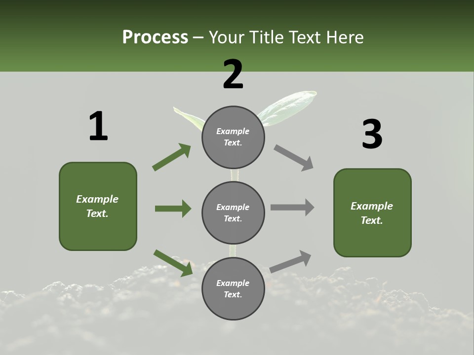 A Small Green Plant Sprouting From The Ground PowerPoint Template