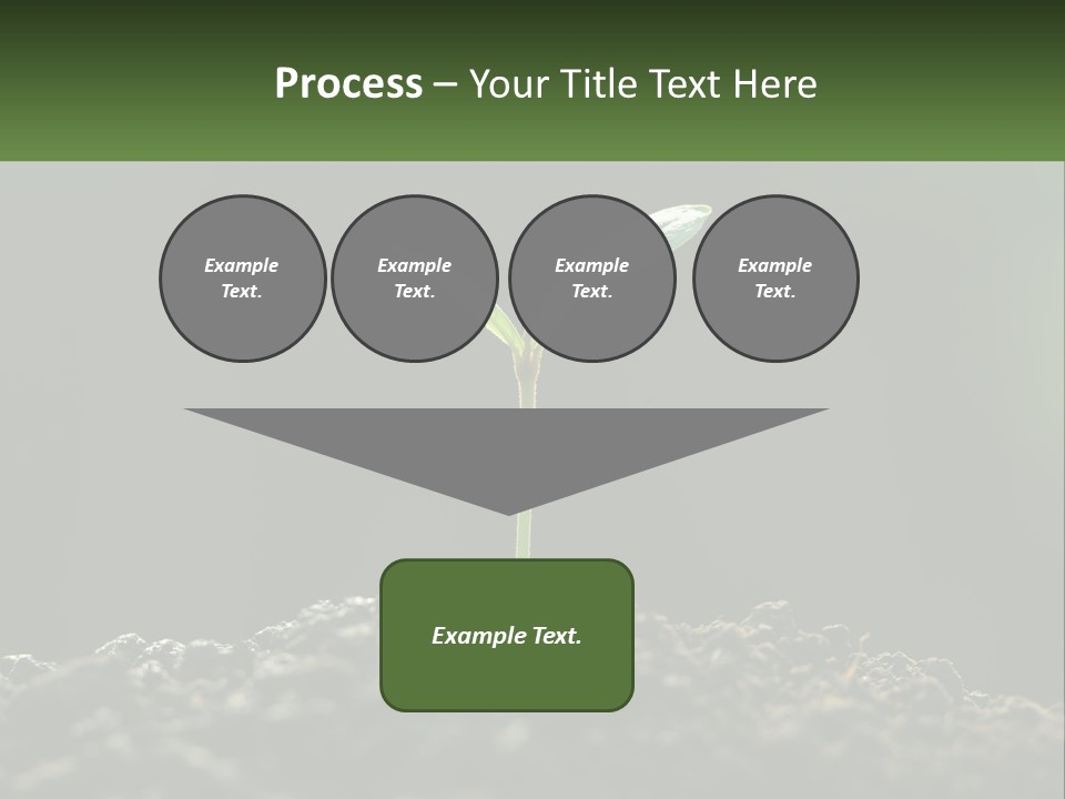A Small Green Plant Sprouting From The Ground PowerPoint Template