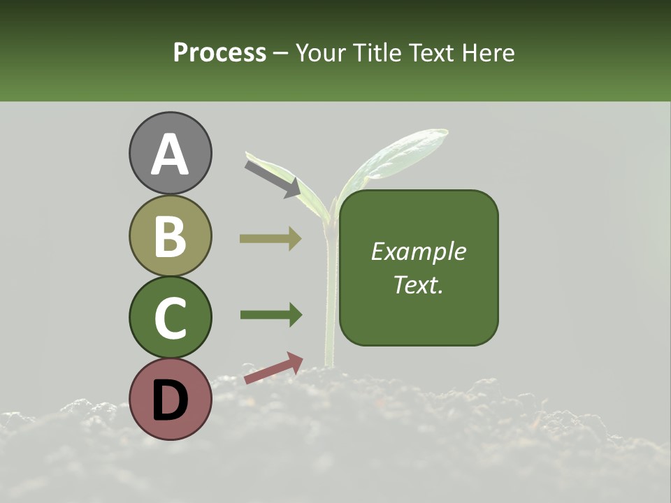 A Small Green Plant Sprouting From The Ground PowerPoint Template