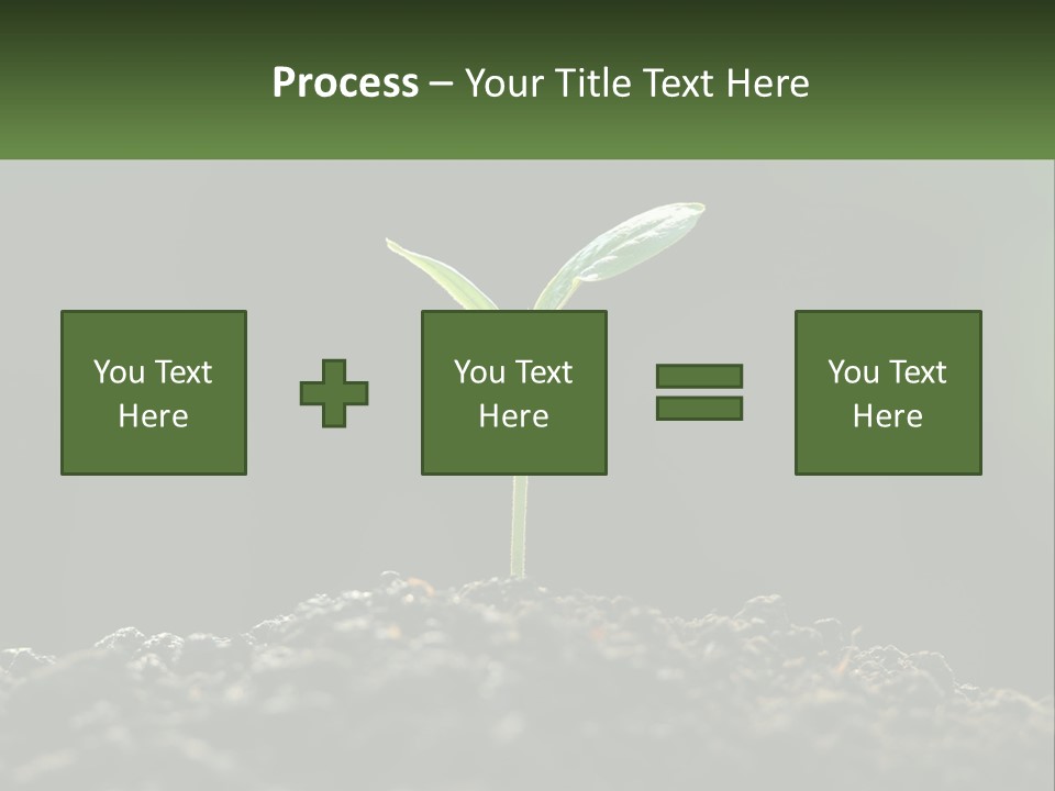 A Small Green Plant Sprouting From The Ground PowerPoint Template