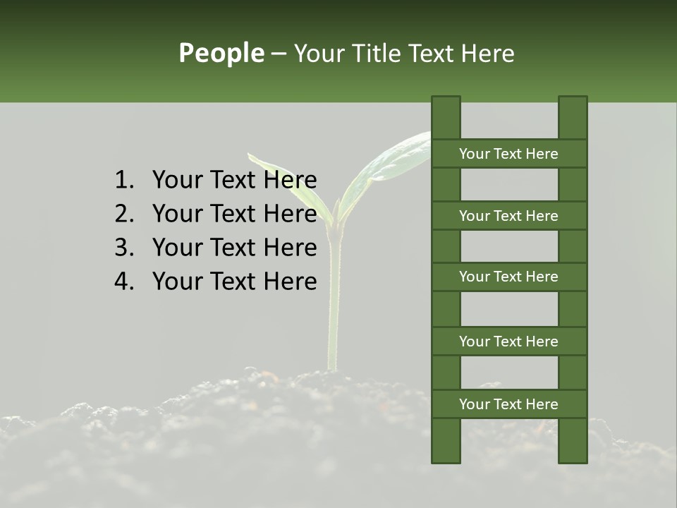A Small Green Plant Sprouting From The Ground PowerPoint Template