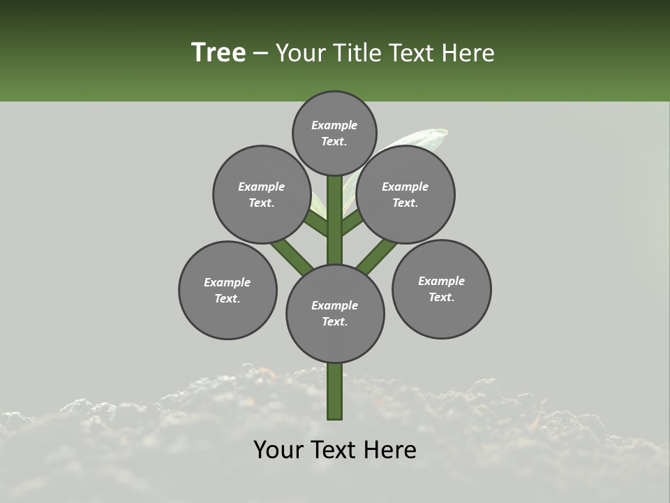 A Small Green Plant Sprouting From The Ground PowerPoint Template