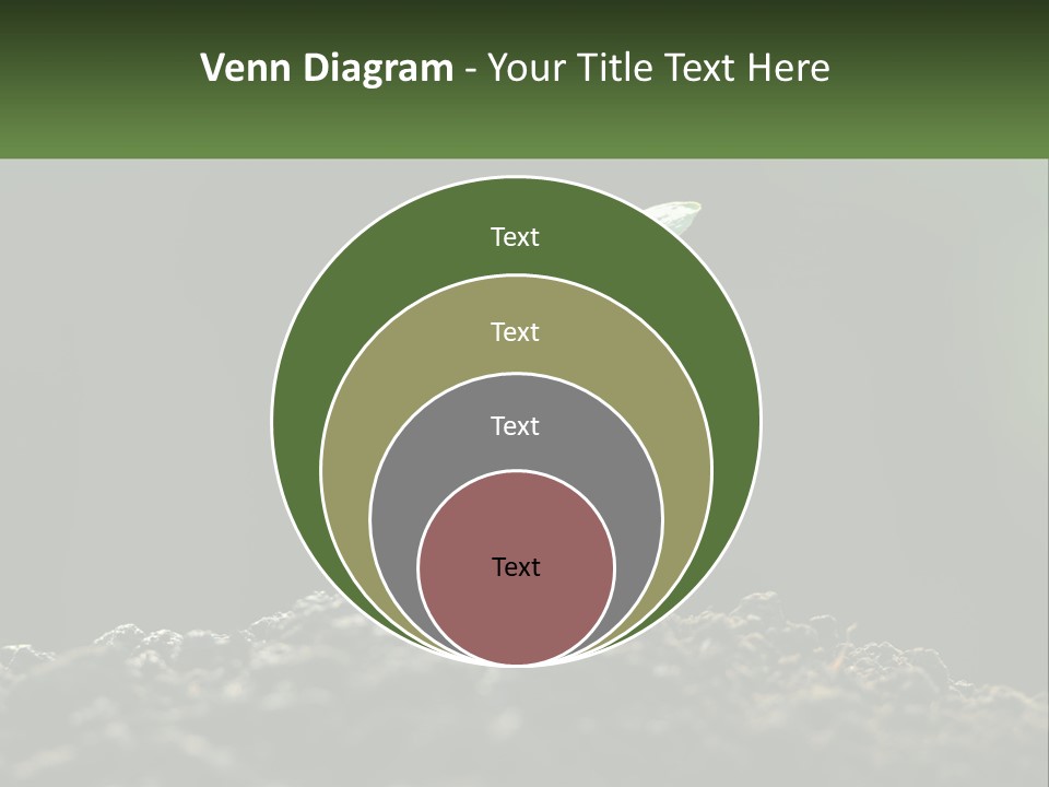 A Small Green Plant Sprouting From The Ground PowerPoint Template