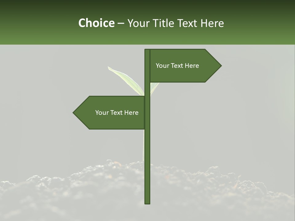 A Small Green Plant Sprouting From The Ground PowerPoint Template