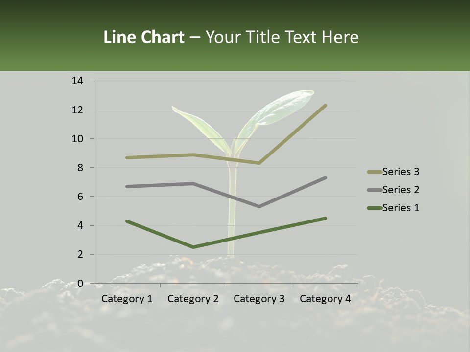 A Small Green Plant Sprouting From The Ground PowerPoint Template