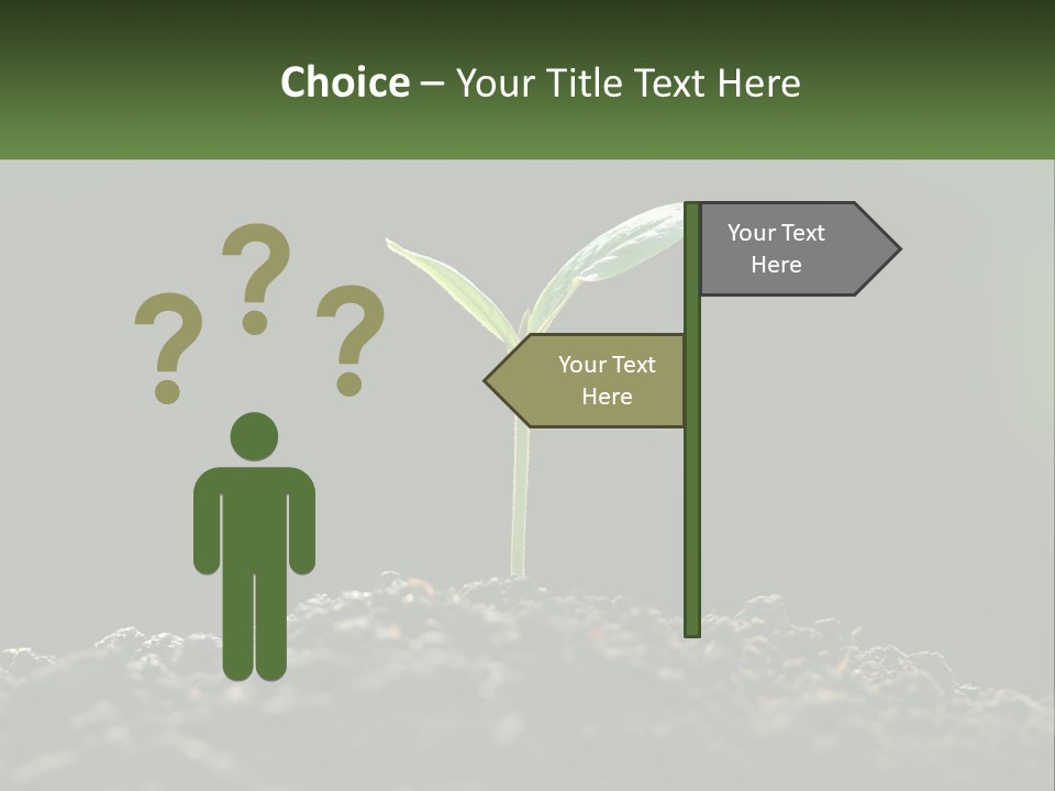 A Small Green Plant Sprouting From The Ground PowerPoint Template