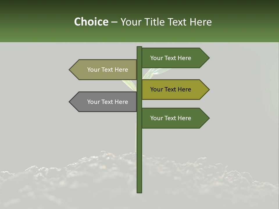 A Small Green Plant Sprouting From The Ground PowerPoint Template