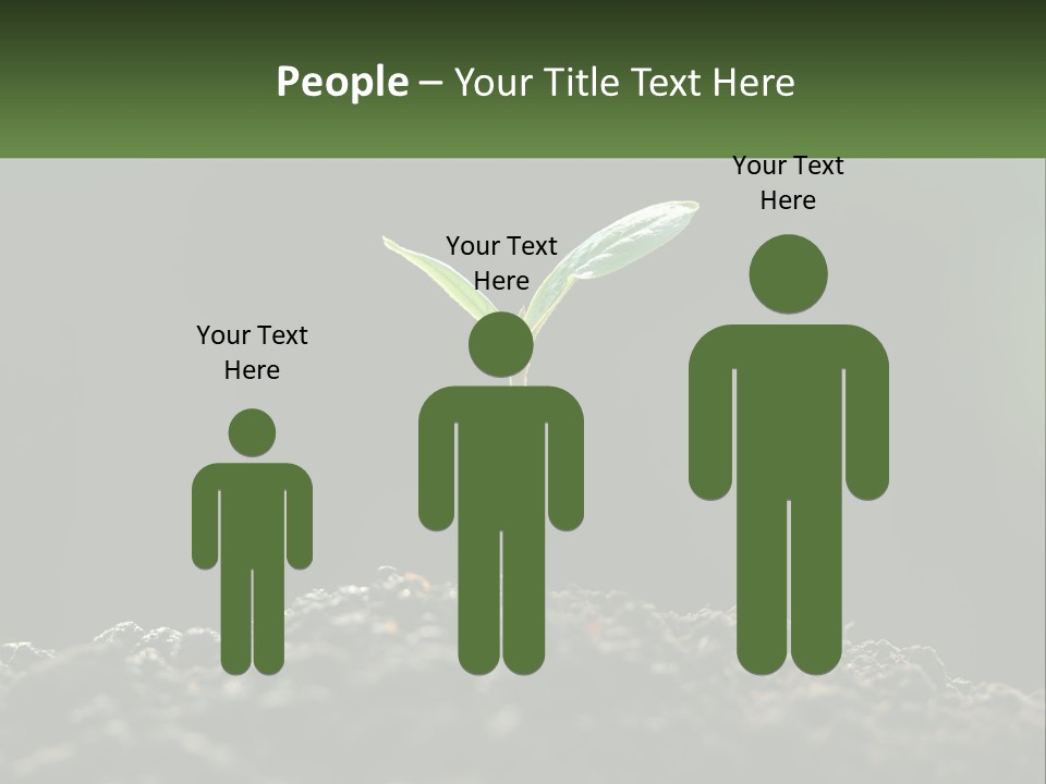 A Small Green Plant Sprouting From The Ground PowerPoint Template