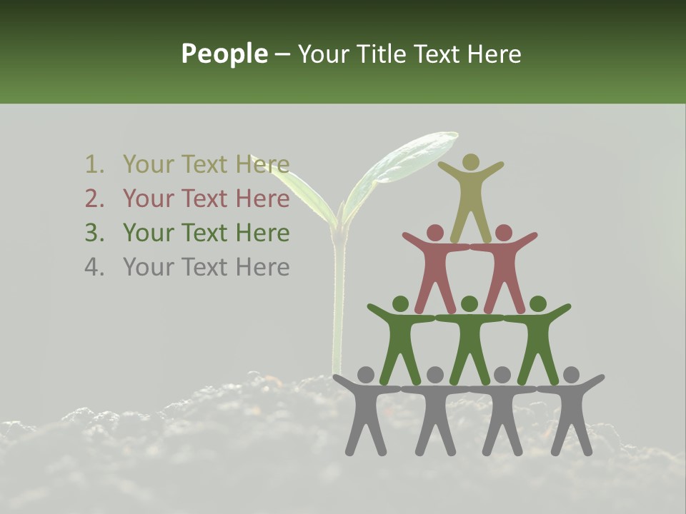 A Small Green Plant Sprouting From The Ground PowerPoint Template