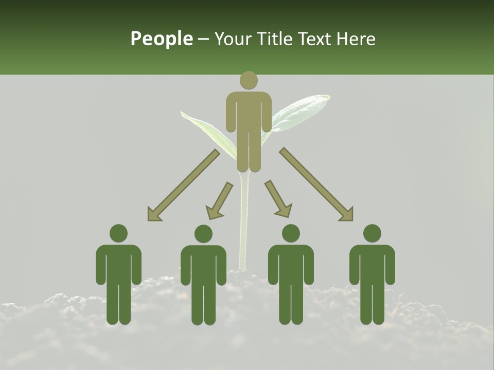 A Small Green Plant Sprouting From The Ground PowerPoint Template
