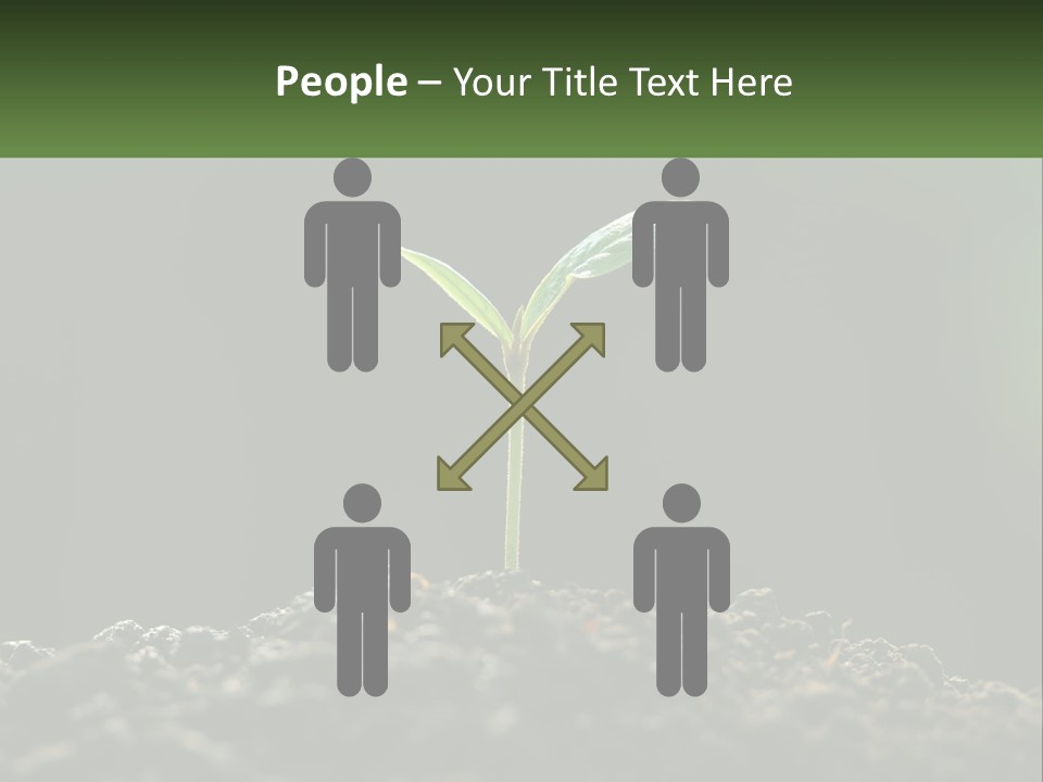 A Small Green Plant Sprouting From The Ground PowerPoint Template