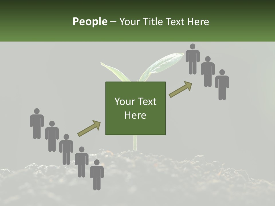 A Small Green Plant Sprouting From The Ground PowerPoint Template