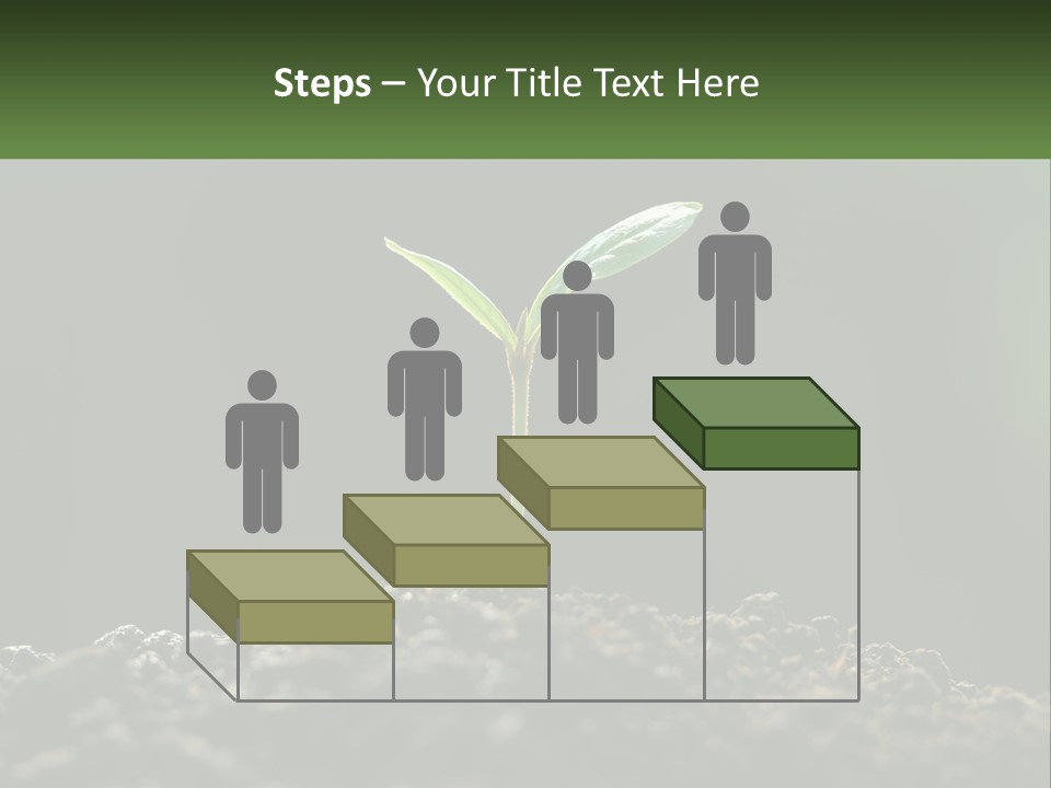 A Small Green Plant Sprouting From The Ground PowerPoint Template