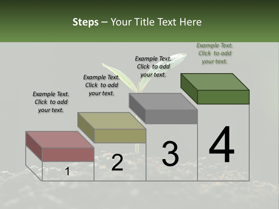 A Small Green Plant Sprouting From The Ground PowerPoint Template