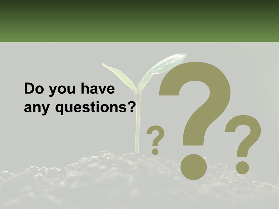 A Small Green Plant Sprouting From The Ground PowerPoint Template