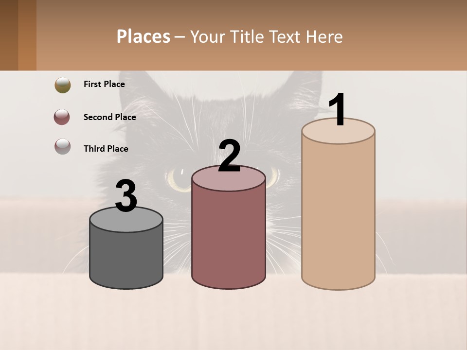 A Black And White Cat Sitting In A Cardboard Box PowerPoint Template