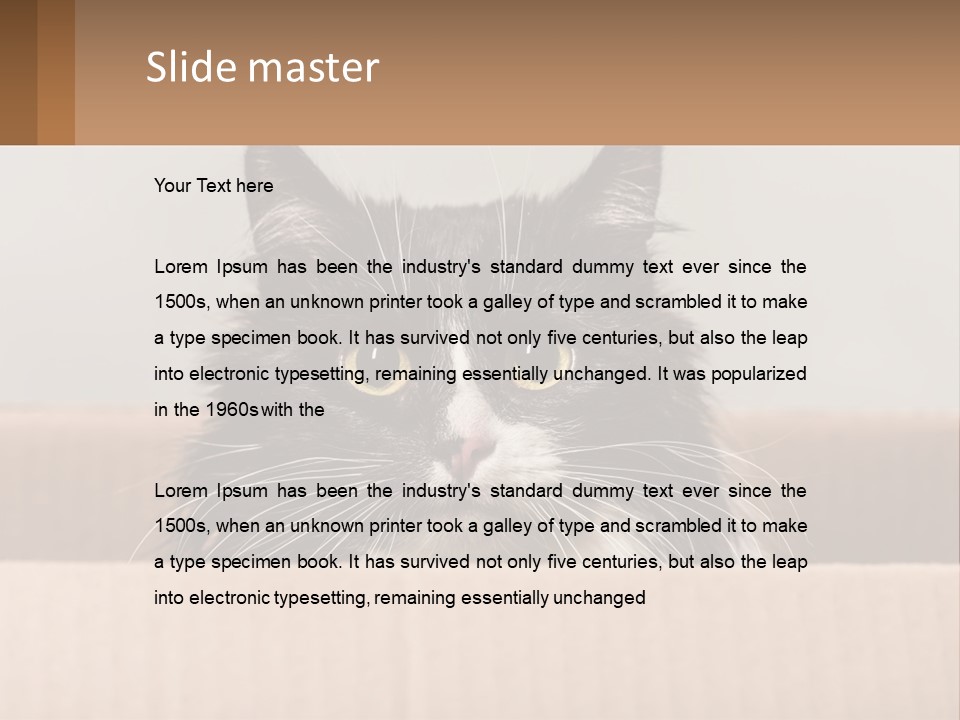 A Black And White Cat Sitting In A Cardboard Box PowerPoint Template