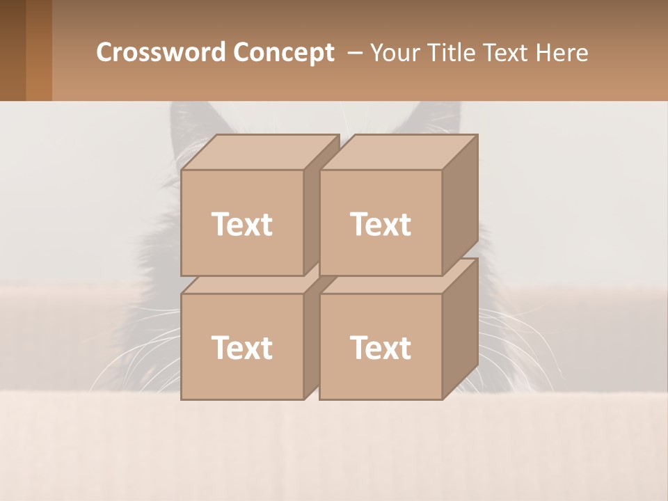 A Black And White Cat Sitting In A Cardboard Box PowerPoint Template
