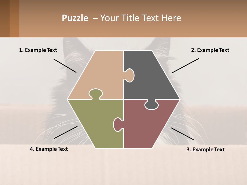 A Black And White Cat Sitting In A Cardboard Box PowerPoint Template