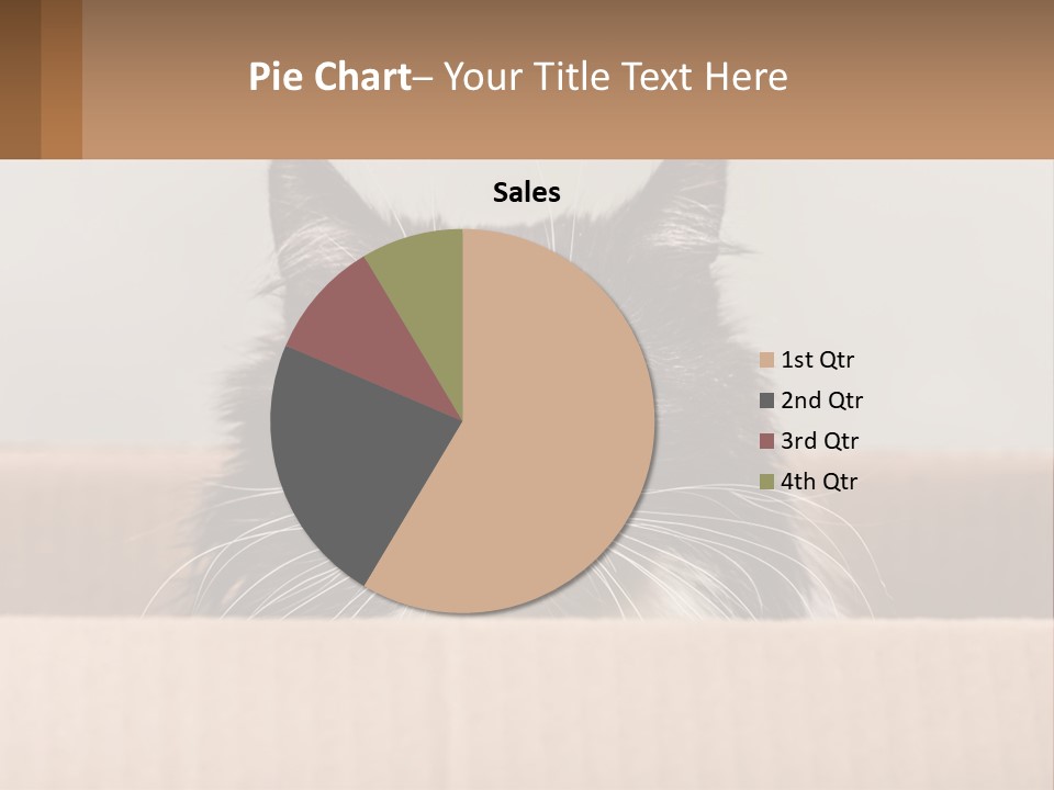 A Black And White Cat Sitting In A Cardboard Box PowerPoint Template