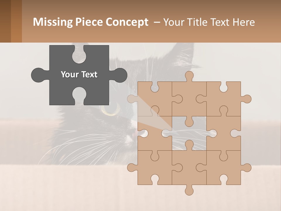 A Black And White Cat Sitting In A Cardboard Box PowerPoint Template