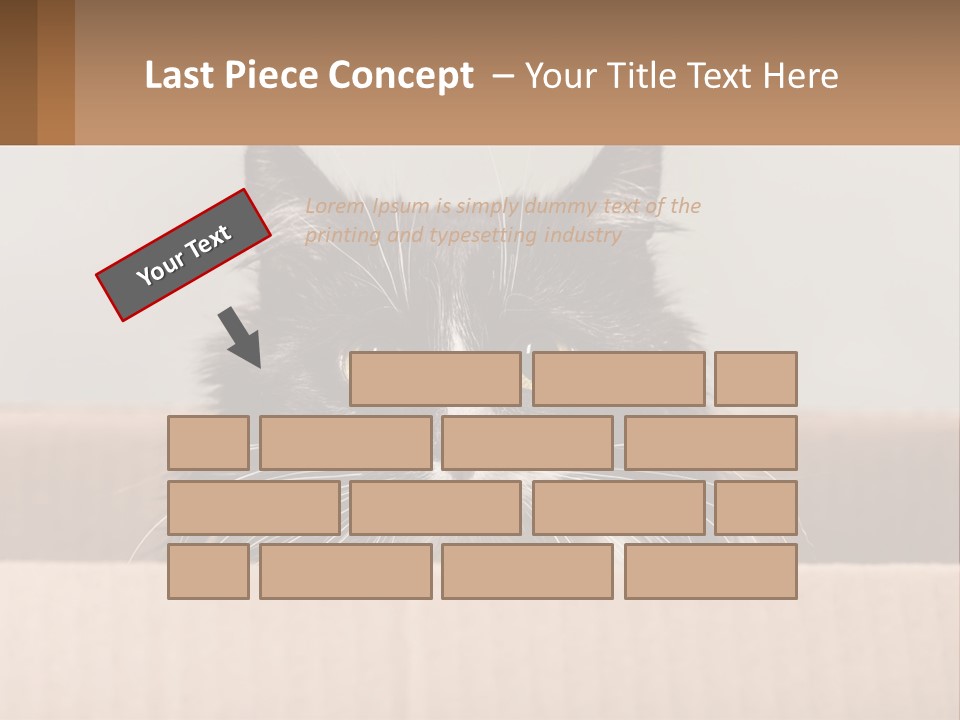 A Black And White Cat Sitting In A Cardboard Box PowerPoint Template
