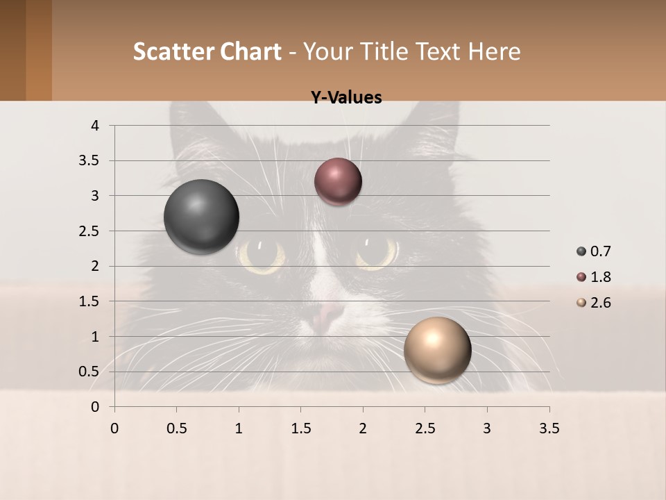 A Black And White Cat Sitting In A Cardboard Box PowerPoint Template