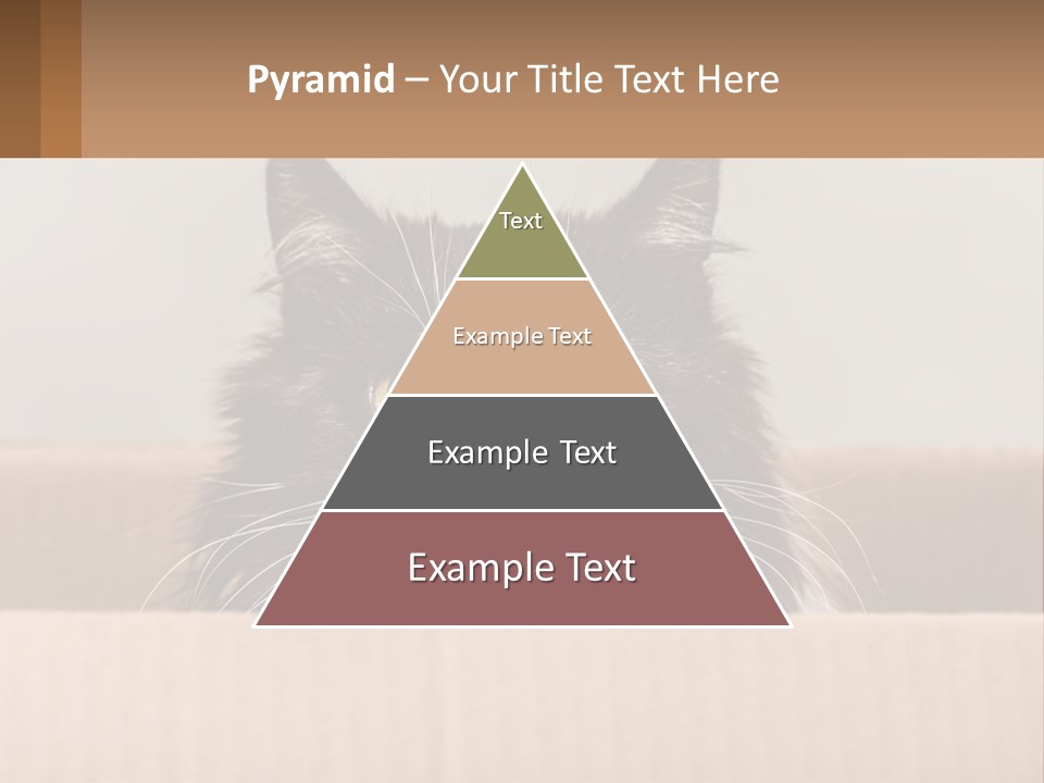A Black And White Cat Sitting In A Cardboard Box PowerPoint Template