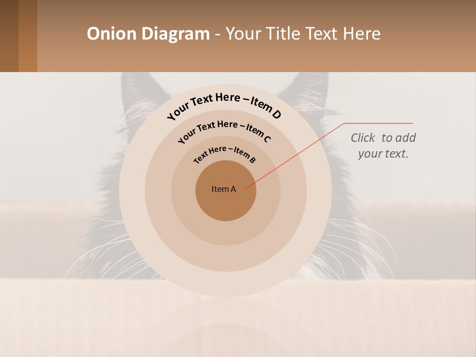 A Black And White Cat Sitting In A Cardboard Box PowerPoint Template