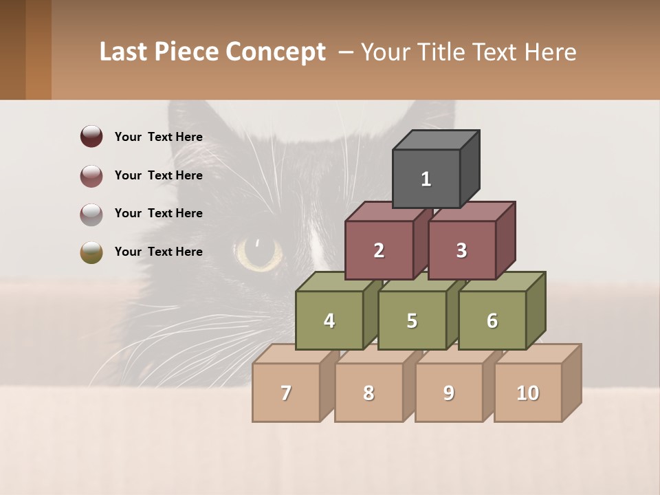 A Black And White Cat Sitting In A Cardboard Box PowerPoint Template