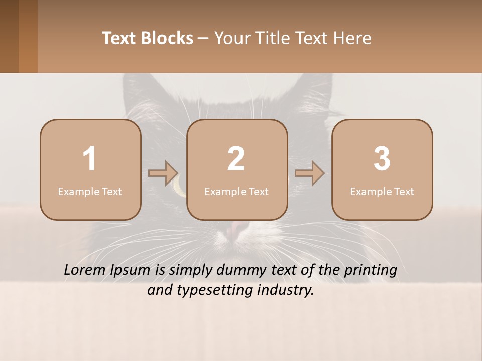 A Black And White Cat Sitting In A Cardboard Box PowerPoint Template