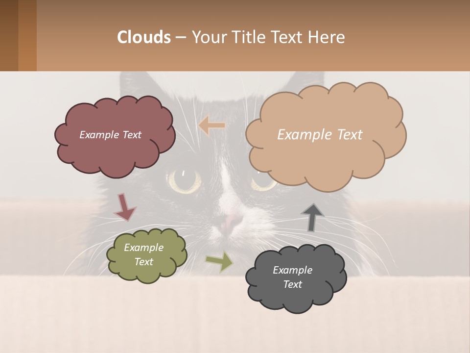A Black And White Cat Sitting In A Cardboard Box PowerPoint Template