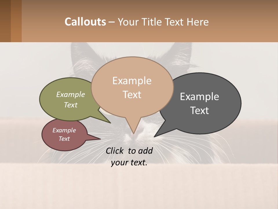 A Black And White Cat Sitting In A Cardboard Box PowerPoint Template