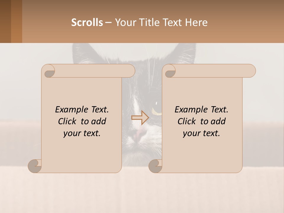 A Black And White Cat Sitting In A Cardboard Box PowerPoint Template