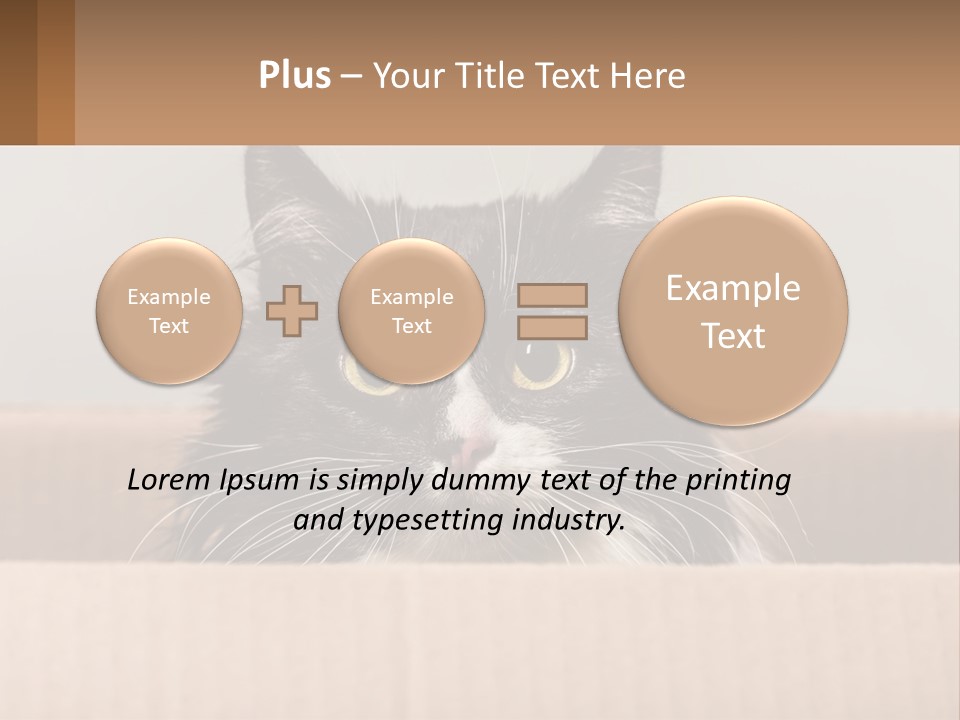 A Black And White Cat Sitting In A Cardboard Box PowerPoint Template