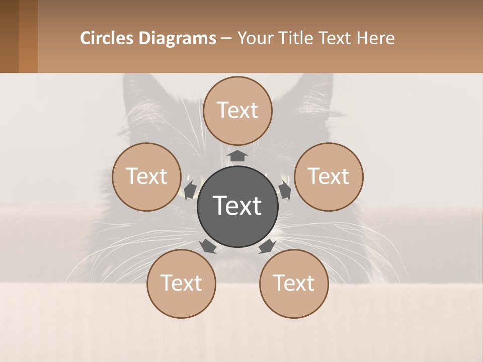 A Black And White Cat Sitting In A Cardboard Box PowerPoint Template