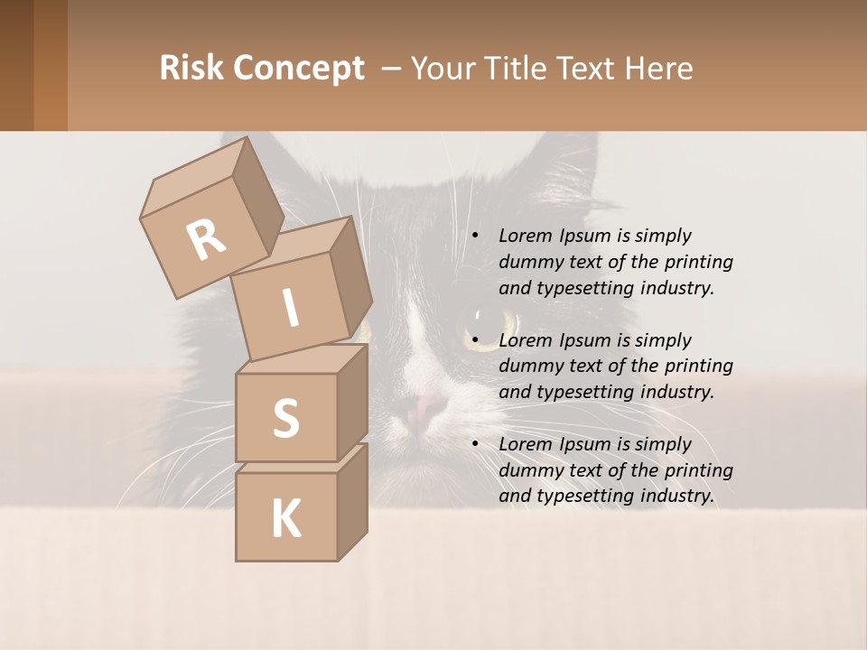 A Black And White Cat Sitting In A Cardboard Box PowerPoint Template
