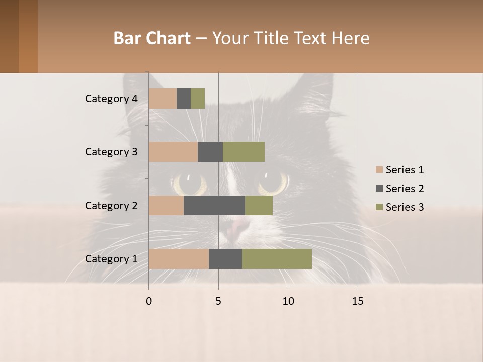 A Black And White Cat Sitting In A Cardboard Box PowerPoint Template