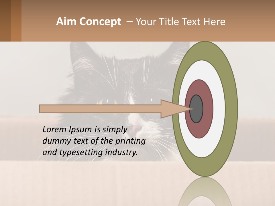 A Black And White Cat Sitting In A Cardboard Box PowerPoint Template