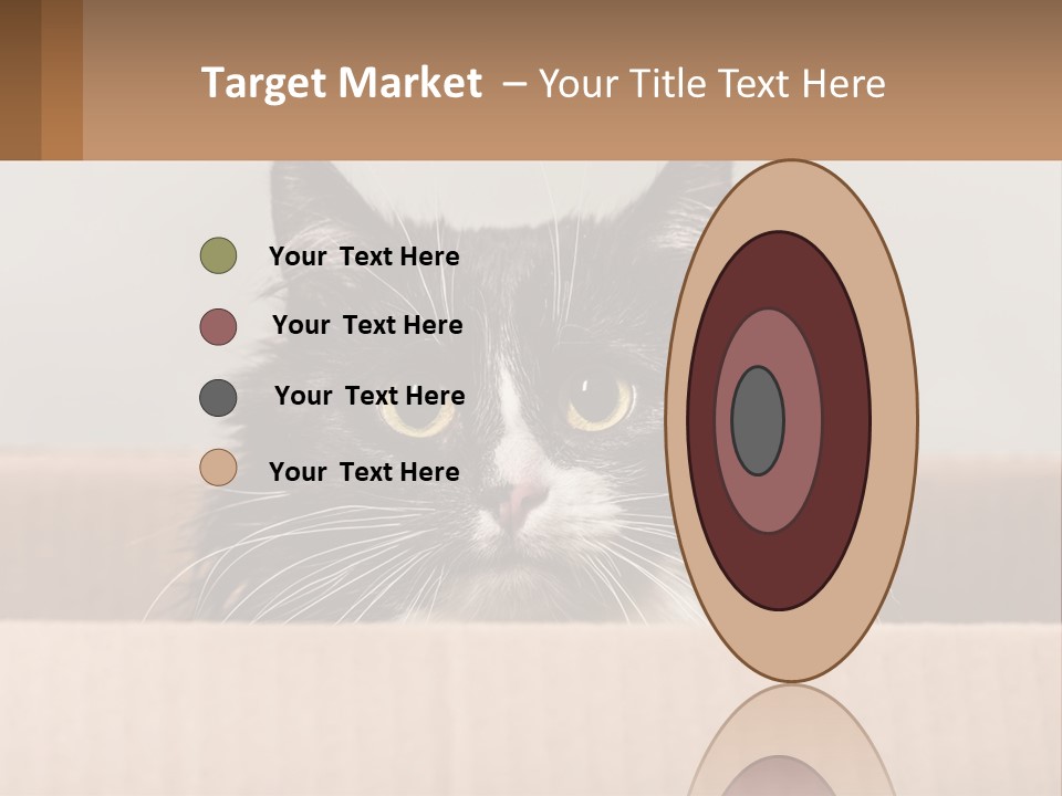A Black And White Cat Sitting In A Cardboard Box PowerPoint Template
