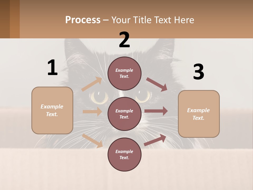 A Black And White Cat Sitting In A Cardboard Box PowerPoint Template