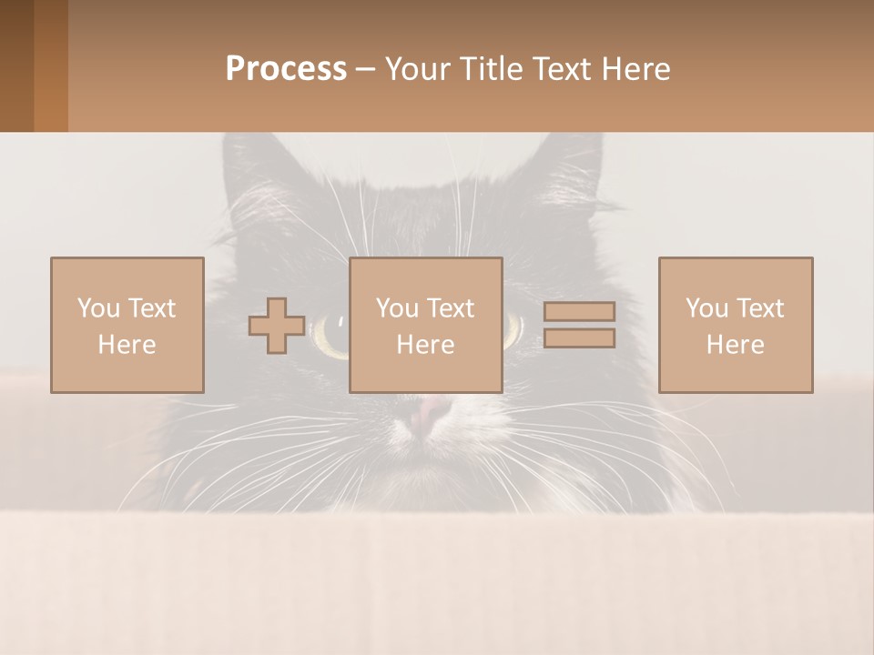 A Black And White Cat Sitting In A Cardboard Box PowerPoint Template