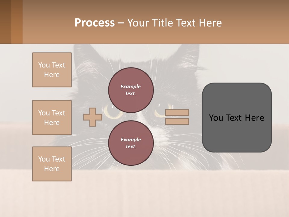 A Black And White Cat Sitting In A Cardboard Box PowerPoint Template