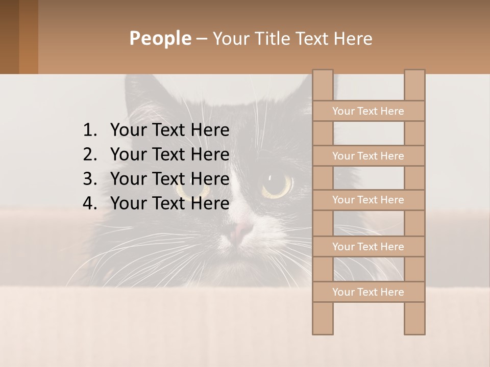 A Black And White Cat Sitting In A Cardboard Box PowerPoint Template