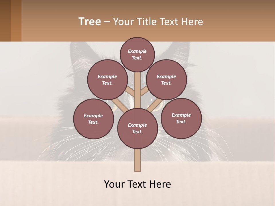 A Black And White Cat Sitting In A Cardboard Box PowerPoint Template
