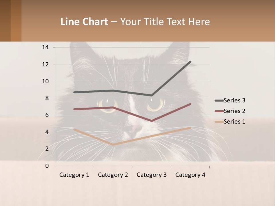 A Black And White Cat Sitting In A Cardboard Box PowerPoint Template