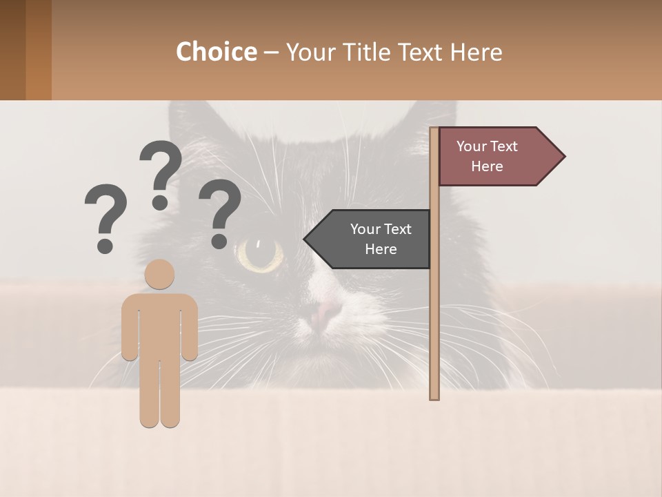 A Black And White Cat Sitting In A Cardboard Box PowerPoint Template